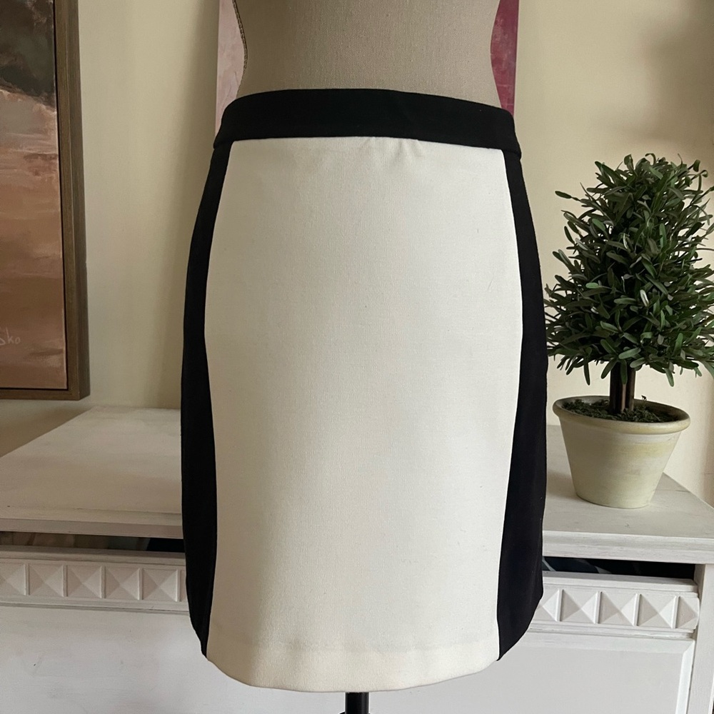 Vivienne Tam Black and White Skirt